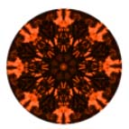 Arancio Vibbro
